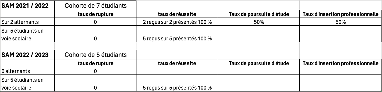 Le BTS SAM De L ICSSA Niort L exp rience De L international